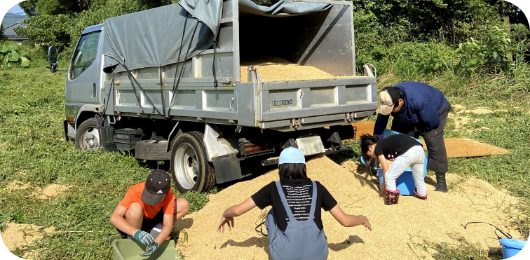 鹿児島の広大な土地で無農薬にこだわって栽培した 自家農園のハイビスカスローゼルを使用しています
