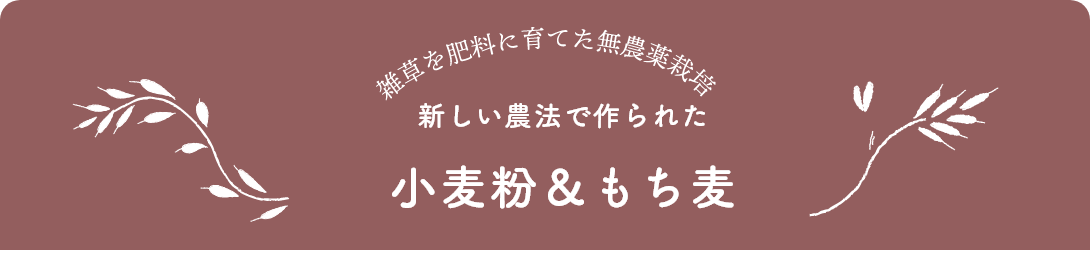 Michiさんの台所のオススメ！